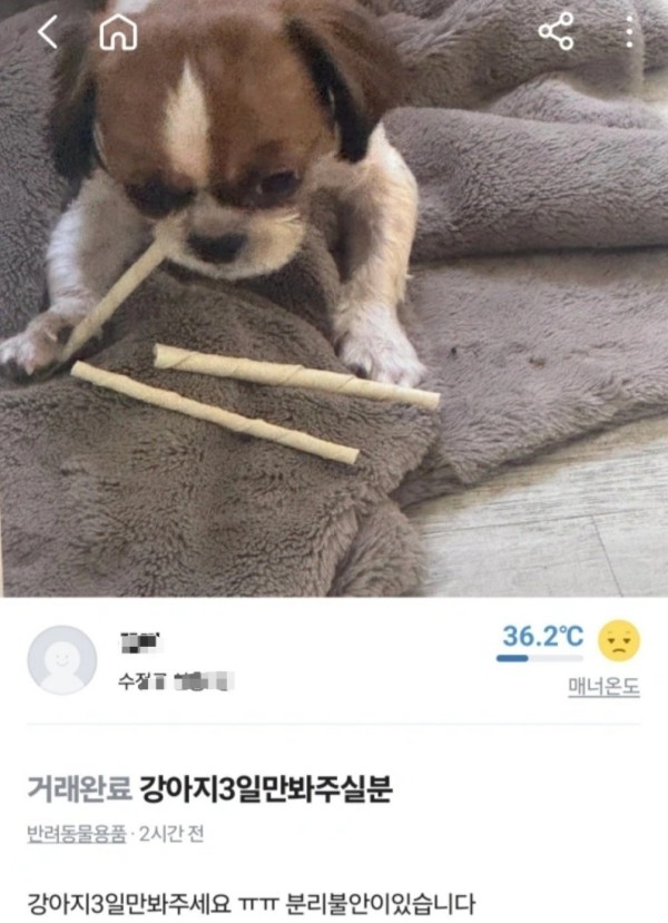 88d1e9a3ce58ce2728b60950e98db36e_1748418061_649.jpeg