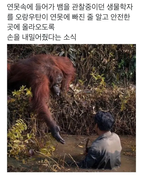 88d1e9a3ce58ce2728b60950e98db36e_1748418359_2342.png
