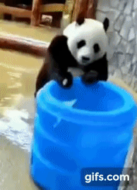 58c751826de3751c0375168c96b8b774_1753943205_7868.gif