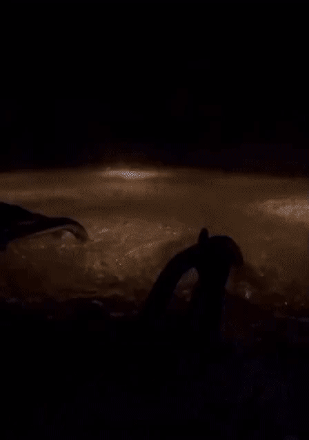de2fbc4c501af79a69a8b776674f6ea5_1753672198_2681.gif