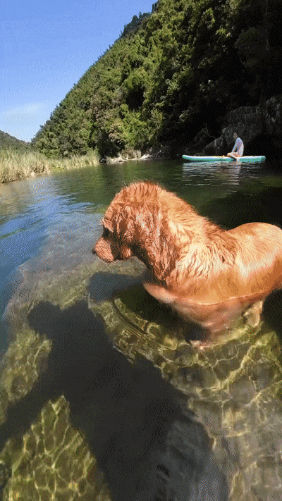 de2fbc4c501af79a69a8b776674f6ea5_1753688114_3728.gif