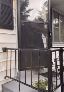 de2fbc4c501af79a69a8b776674f6ea5_1753845084_1207.gif