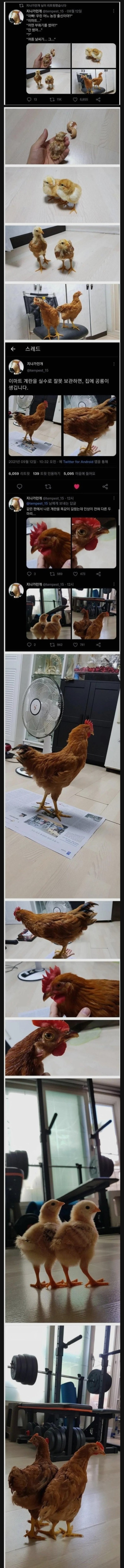 de2fbc4c501af79a69a8b776674f6ea5_1752820493_9124.jpeg