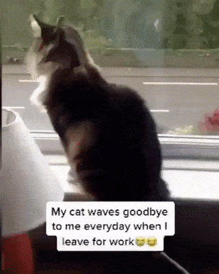 58c751826de3751c0375168c96b8b774_1755058777_7673.gif