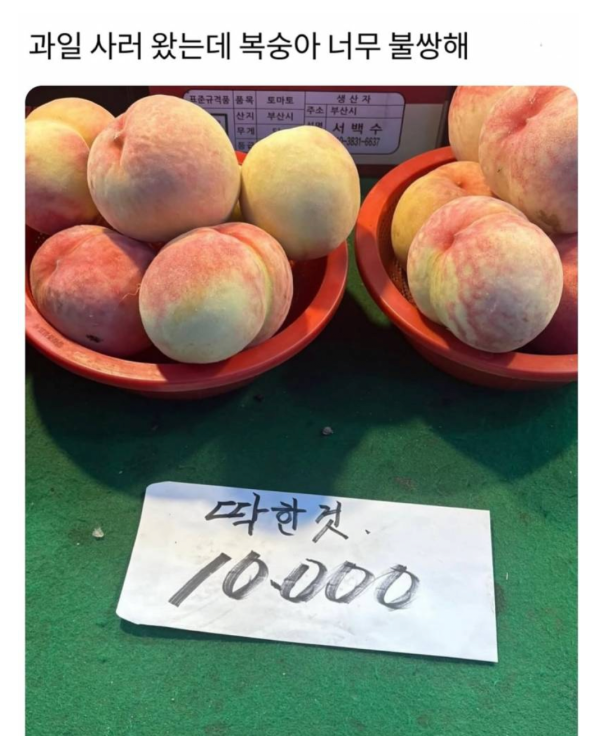 58c751826de3751c0375168c96b8b774_1755760832_3817.png