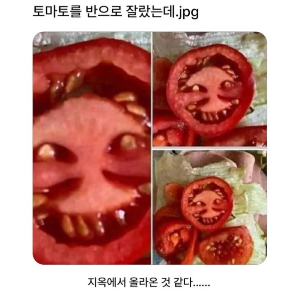 58c751826de3751c0375168c96b8b774_1756095370_786.jpg