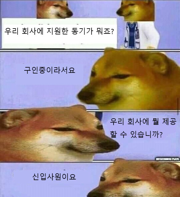 3023078217a62877d47b72ba9cfb51f3_1758770391_4401.jpg 3023078217a62877d47b72ba9cfb51f3_1758770391_4401.jpg