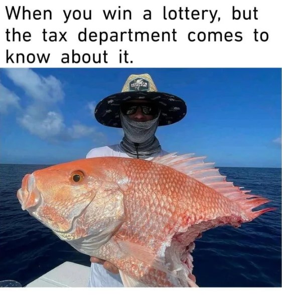 3023078217a62877d47b72ba9cfb51f3_1758868150_1998.jpg 3023078217a62877d47b72ba9cfb51f3_1758868150_1998.jpg