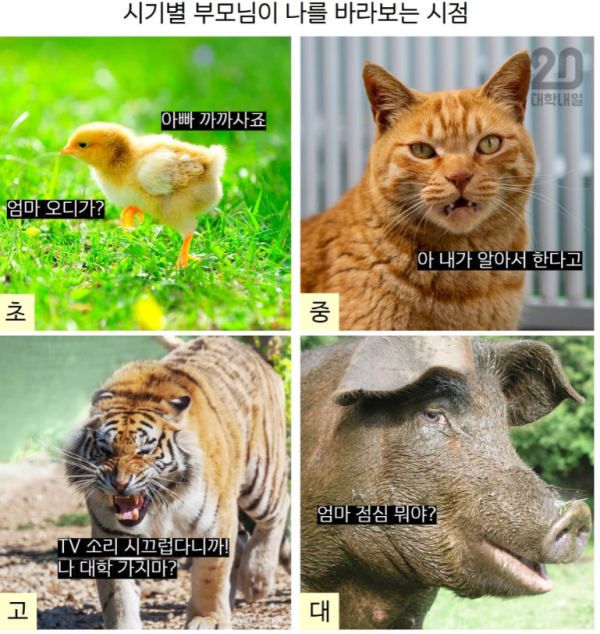 3023078217a62877d47b72ba9cfb51f3_1758595448_5828.png