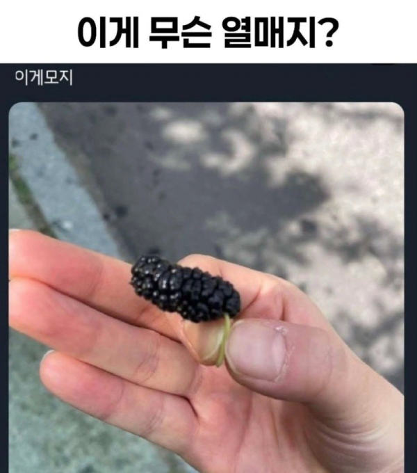 58c751826de3751c0375168c96b8b774_1756873586_0455.png